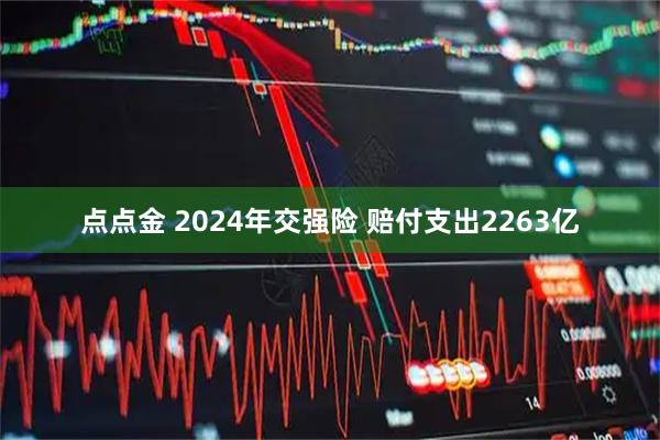 点点金 2024年交强险 赔付支出2263亿