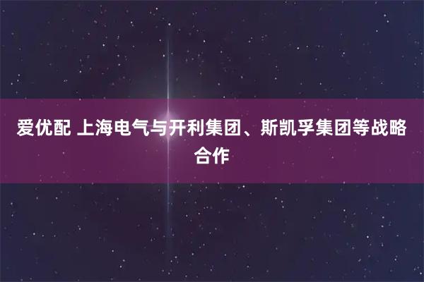 爱优配 上海电气与开利集团、斯凯孚集团等战略合作
