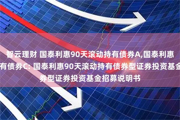 智云理财 国泰利惠90天滚动持有债券A,国泰利惠90天滚动持有债券C: 国泰利惠90天滚动持有债券型证券投资基金招募说明书