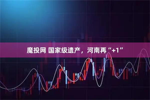 魔投网 国家级遗产，河南再“+1”