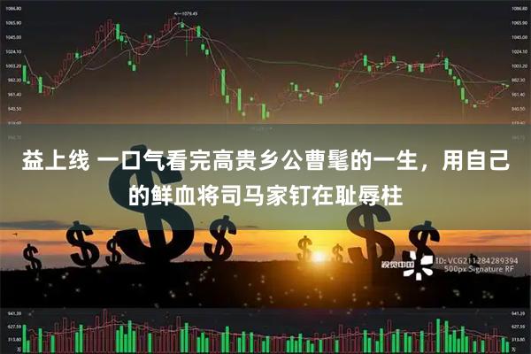 益上线 一口气看完高贵乡公曹髦的一生，用自己的鲜血将司马家钉在耻辱柱
