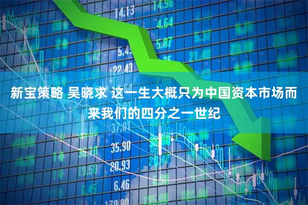 新宝策略 吴晓求 这一生大概只为中国资本市场而来我们的四分之一世纪