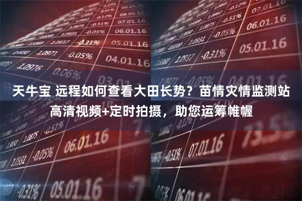 天牛宝 远程如何查看大田长势？苗情灾情监测站高清视频+定时拍摄，助您运筹帷幄
